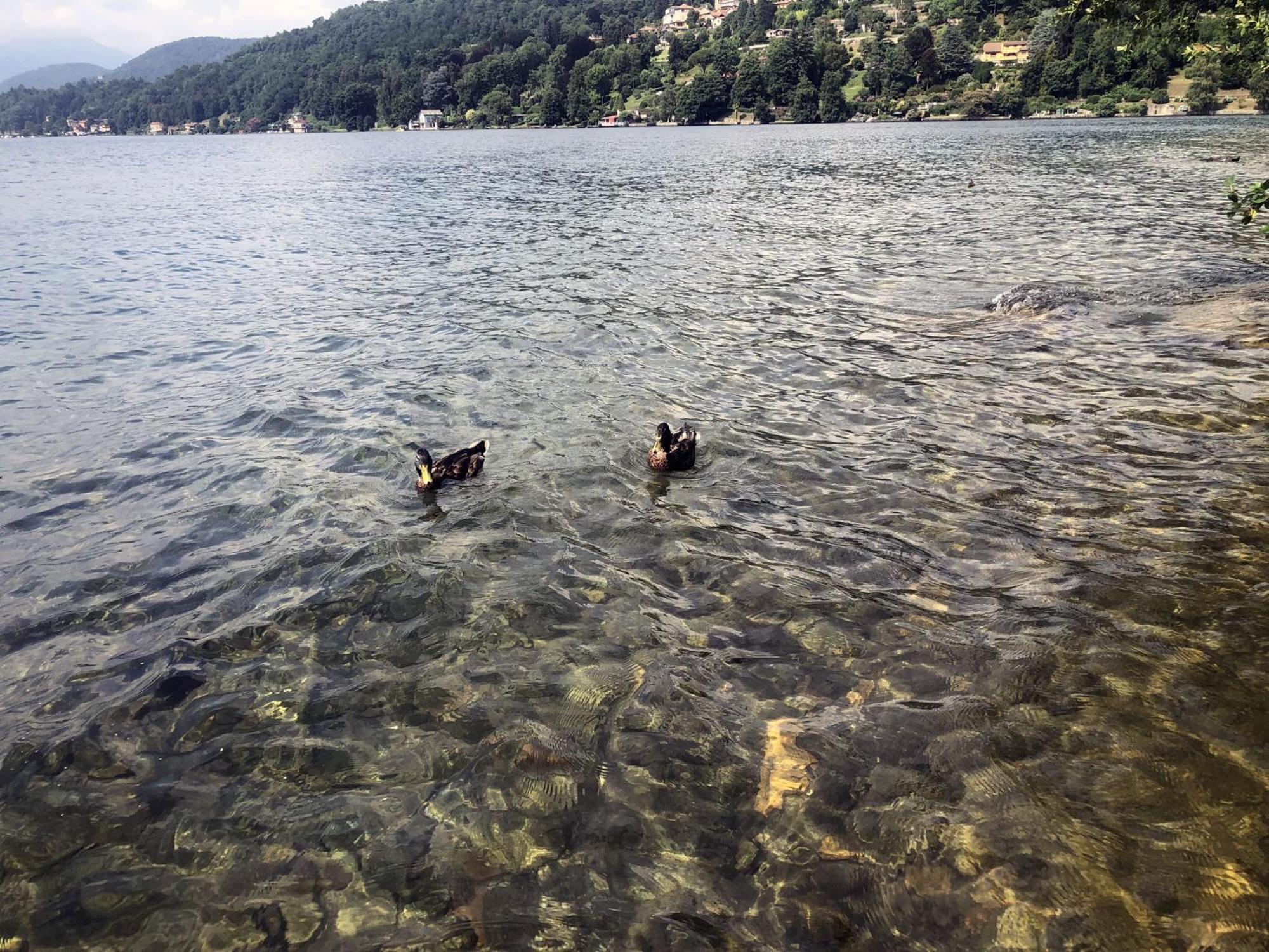 Appartamento Vacanze Al Lago 오르타산줄리오 외부 사진