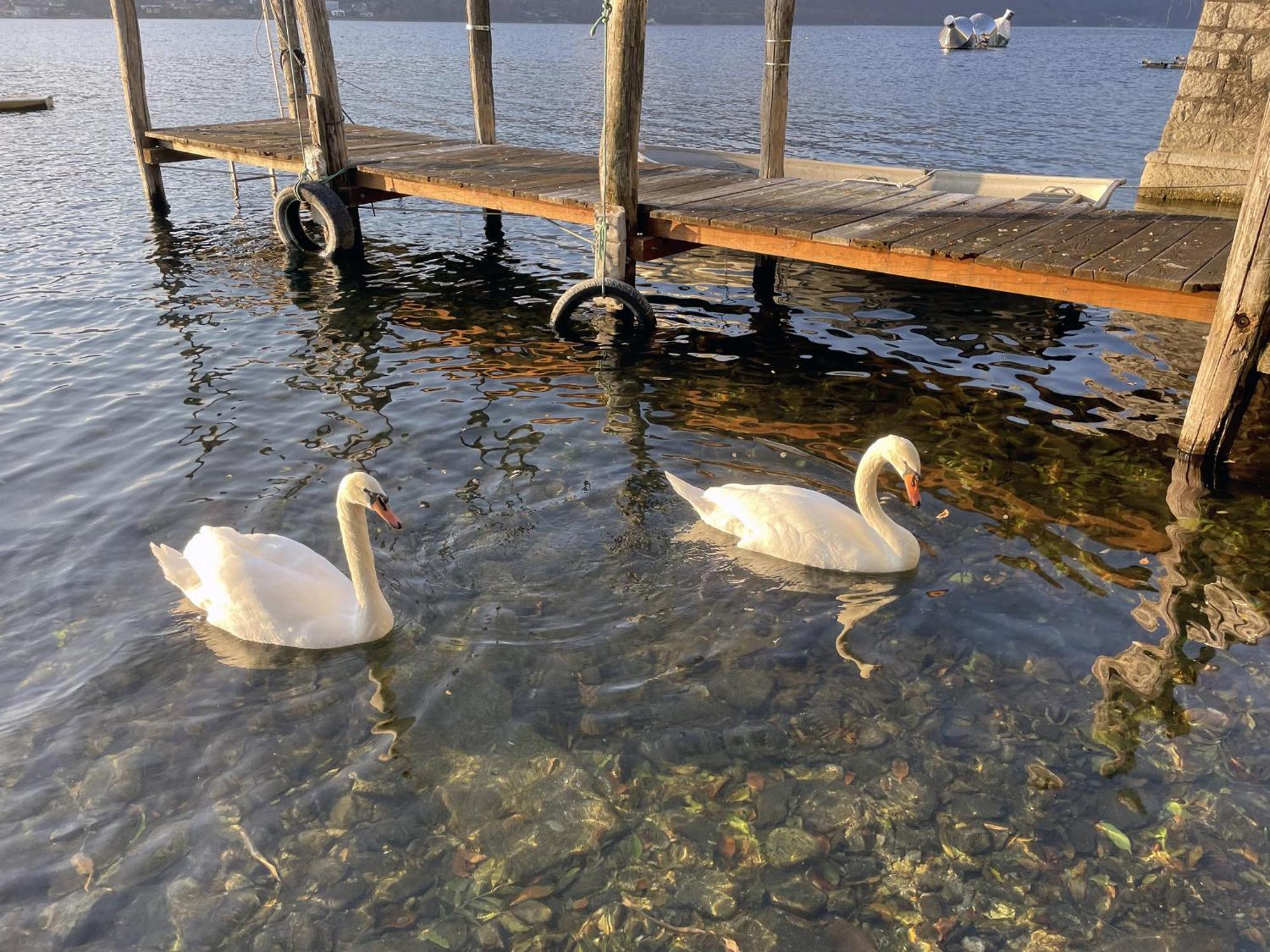Appartamento Vacanze Al Lago 오르타산줄리오 외부 사진
